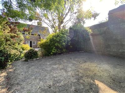 Picture 21
